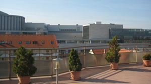 Roof terrace - Főnix Incubation House